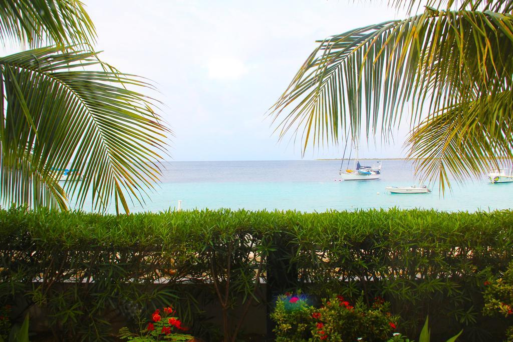 Bonaire Seaside Apartments Eksteriør billede