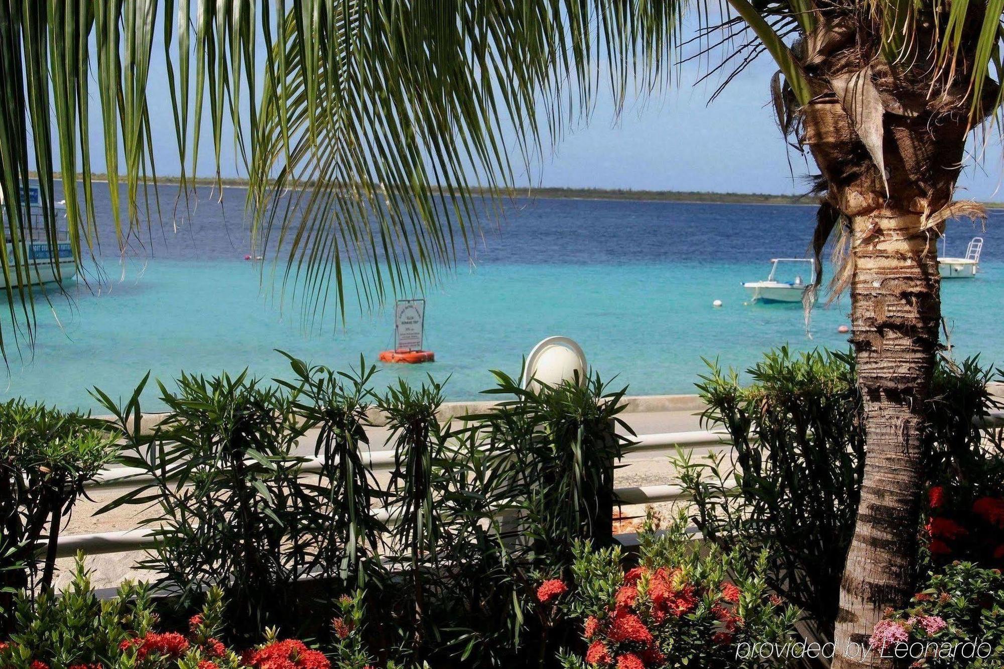 Bonaire Seaside Apartments Faciliteter billede